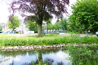 Neue Brücke Stadtpark