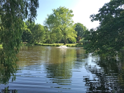 Ententeich Münsterstraße - Bild 1