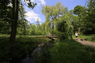 Renaturierter Ostbach in Herne