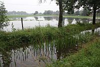 © Naturpark Schwalm-Nette