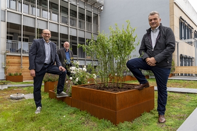 Schaugarten für Dach- und Fassadenbegrünung vorgestellt
