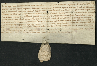 Urkunde Hansegrafschaft