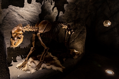 Mit der Taschenlampe geht es durch die dunkle Steinzeithöhle // Foto: Julia Gehrmann