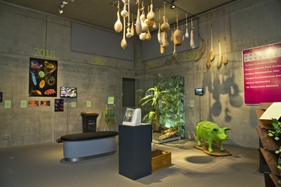 Sonderausstellung „Wunderkammer modern - 50 Jahre Universität Kassel“