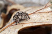 © VDN-Fotoportal/Angelika Hecht