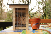 © Naturpark Schwalm-Nette