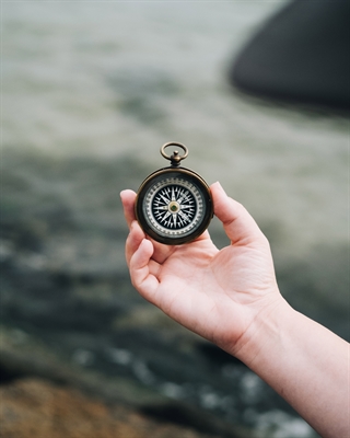 © Heidi Fin/Unsplash