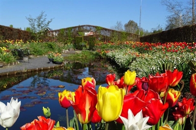 Schaugarten Tuinfleur, gelegen am Oldambtmeer