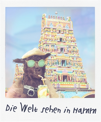 © 