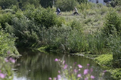 Körnebach