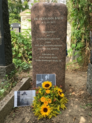 Grabmal Dr. Hermann Bach