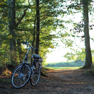 © Münsterland e.V./Maren Kuiter