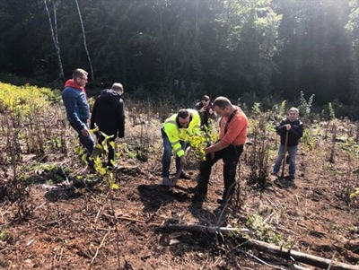 Aufforstungsarbeit vom Iserlohner Forstamt und Radio MK: