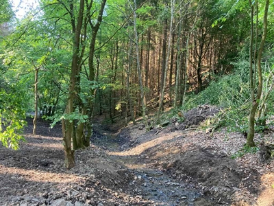 Die Umweltbehörden des Kreises und die Stadt Plettenberg arbeiten gemeinsam an Lösungen zur Schadensbehebung im Naturschutzgebiet Bommecketal. Foto: Klaus Kraatz/ Märkischer Kreis