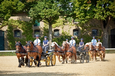 © Münsterland e.V./Philipp Fölting
