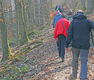 „Rund um Neuenhof“ beginnt die sportliche Wanderung mit dem Naturparkführer Axel Peter Müller. Foto: Sandra Jurek / Märkischer Kreis 
