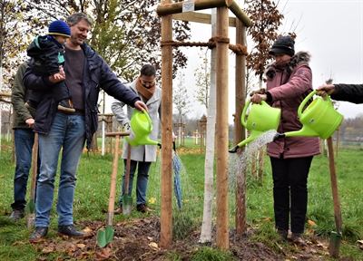 Bürgerwäldchen 2022