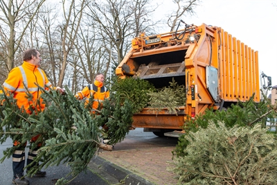ESB sammelt Weihnachtsbäume 12/2022