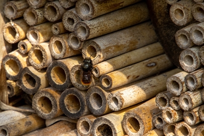 © Foto: Naturpark Schwalm-Nette