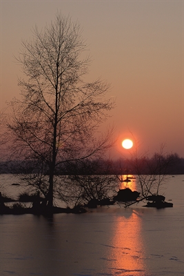 Das Bild des Fotografen Hubert Stroetmann zeigt einen Sonnenaufgang im Zwillbrocker Venn in Vreden.