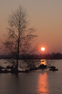 Das Bild des Fotografen Hubert Stroetmann zeigt einen Sonnenaufgang im Zwillbrocker Venn in Vreden.