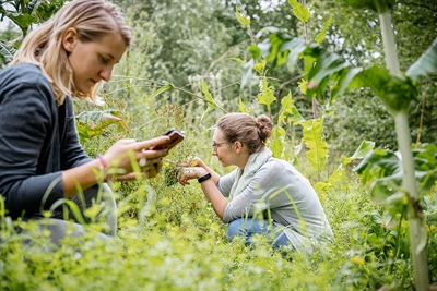 Bioblitz