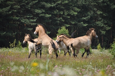 Bildungsangebote Umweltzentrum