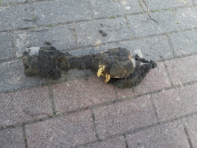 © Gemeinde Südlohn