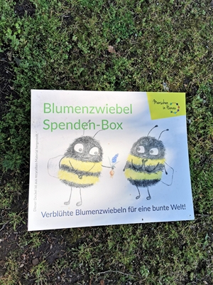 Blumenzwiebel-Sammelboxen - Foto 1