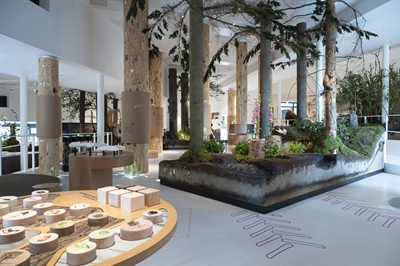 Museum am Schölerberg