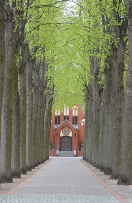 061/2023 Allee Friedhof Peine