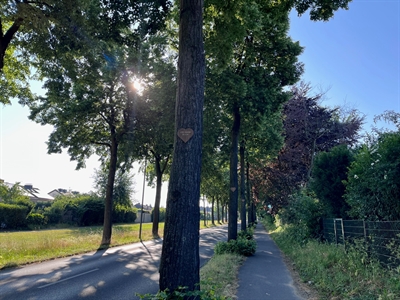 Liebesgrüße