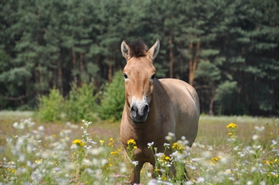 Ferienbetreuung am Umweltzentrum