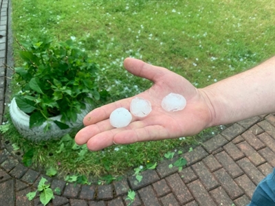 Hagel