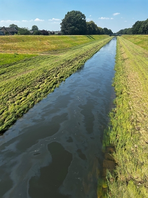 Ölspur in Oberhausen und Dinslaken