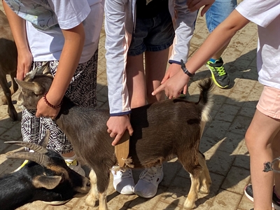 Am ersten Tag im grünen Klassenzimmer