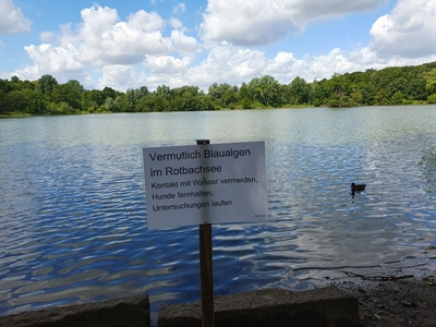 Warnschild Verdacht auf Blaualgen im Rotbachsee