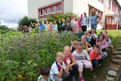 Hombressen Blühfläche