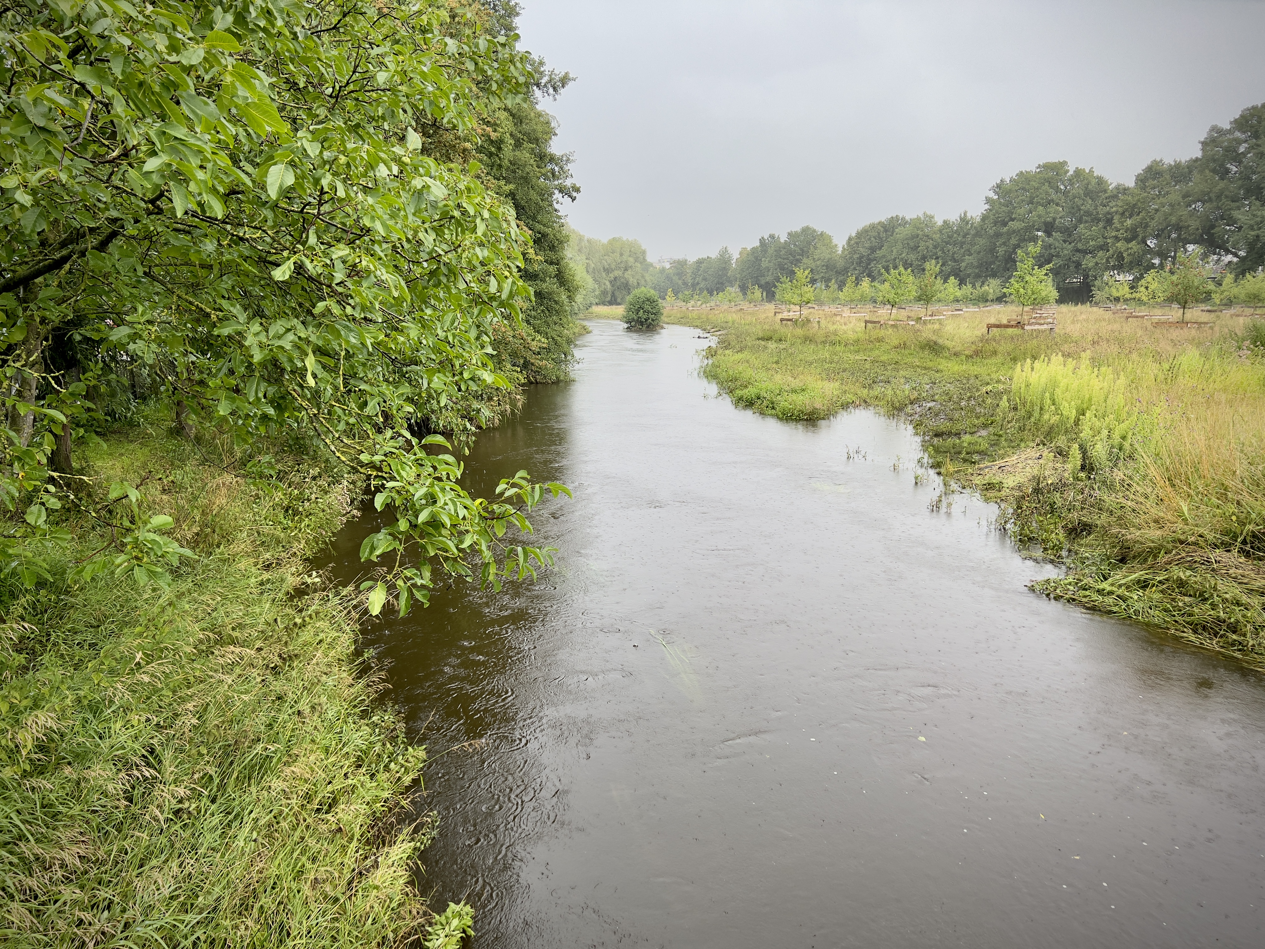 Landesamt schaltet neues Hochwasserportal NRW frei - Zwei Messstation liegen in Alst&auml;tte an der Aa