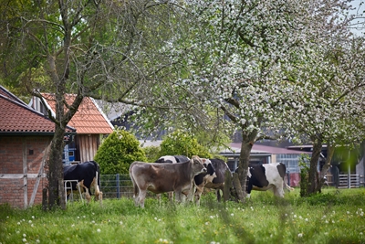 © Münsterland e.V./Philipp Fölting