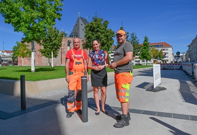 Poller an der Französischen Allee