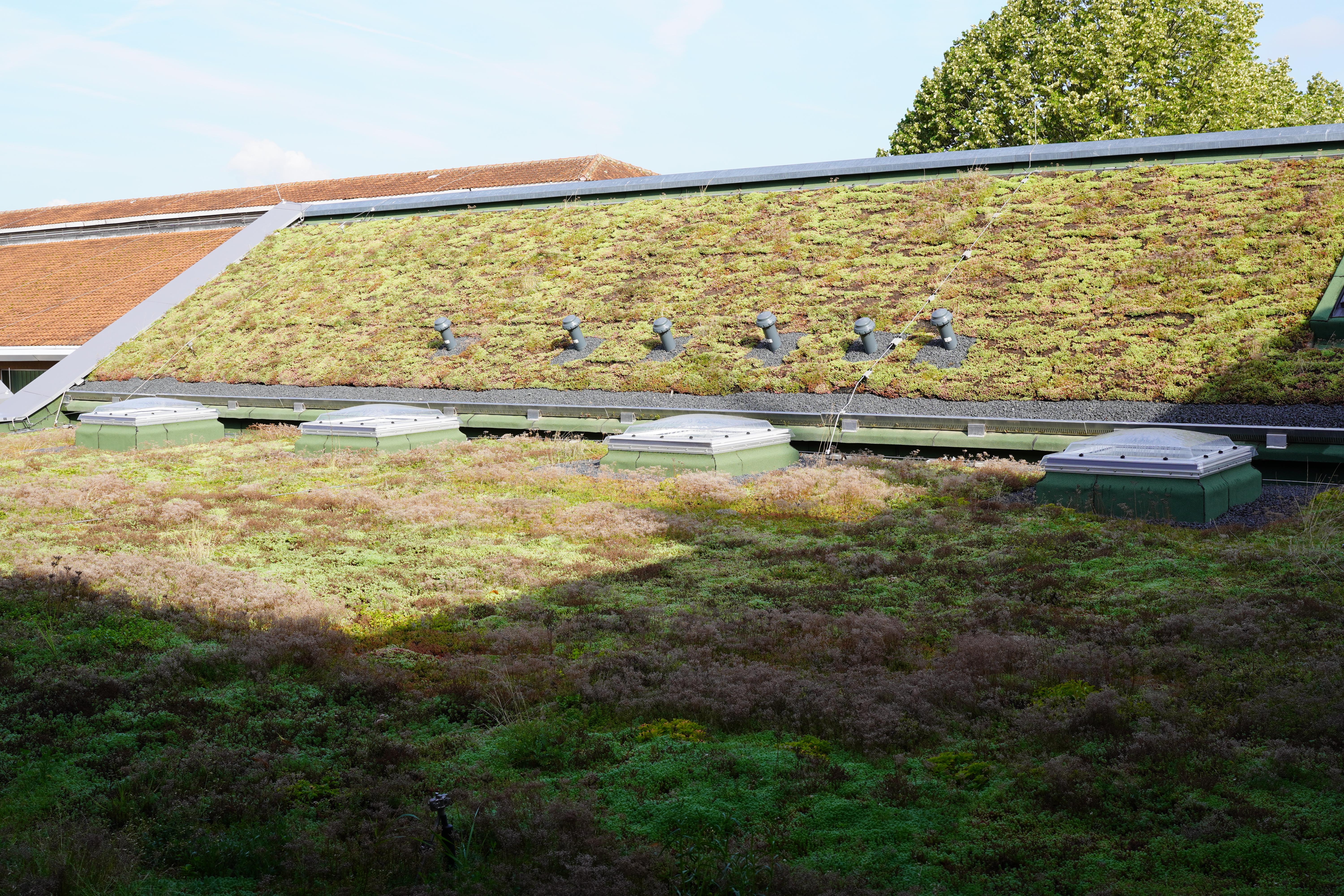 KORREKTUR: Aktiver Klimaschutz: Kreisstadt Unna zieht positive Zwischenbilanz der Förderprogramme „Solaroffensive“ und „Gebäudegrün“