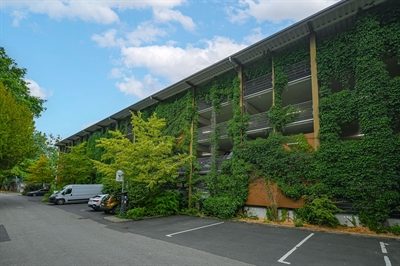 Woche der Klimaanpassung - Foto 2