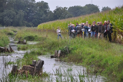 20 Jahre Naturschutzstiftung:  Frischofsbach 