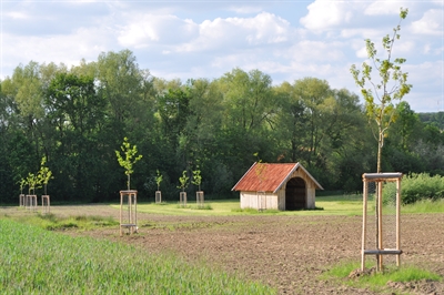 20 Jahre Naturschutzstiftung:  Weideschuppen