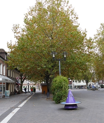 Platanen Marktplatz