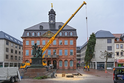 Weihnachtsbäume 2023 - Foto 2