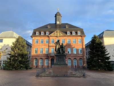 Weihnachtsbäume 2023 - Foto 3