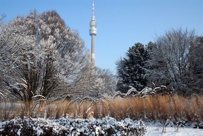  Im November veranstaltet der Westfalenpark zwei Führungen, die sich der Vorbereitung auf die kalte Jahreszeit und der Entdeckung essbarer Wildpflanzen widmen, 