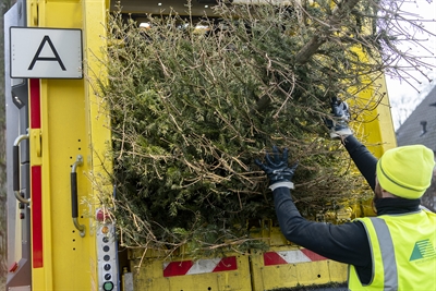 © EDG Dortmund GmbH